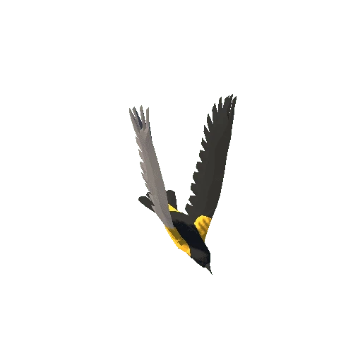 Low Poly Oriole
